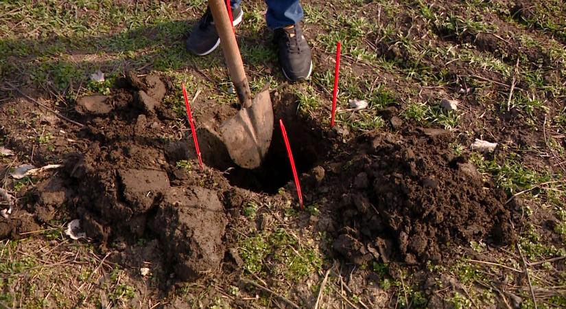 Hiába esett a hó és az eső, csak a talaj felső részén ázott fel a talaj Vásárhely határában