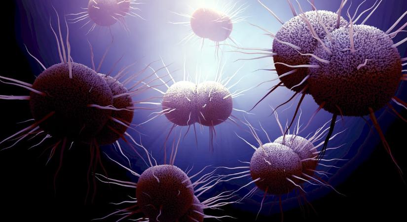 Megvizsgáltak egy szívós baktériumot, ami kiderült, az újraírhatja a földi élet keletkezésének történetét