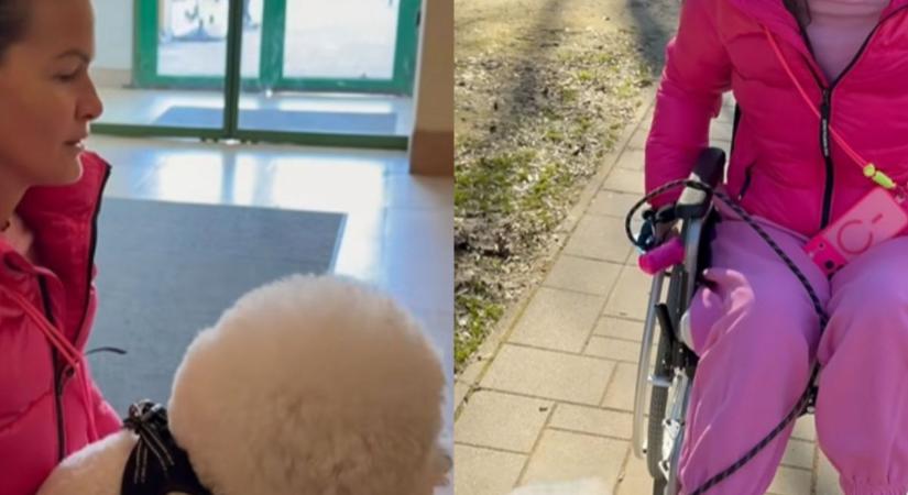 Tolószékben a nagybeteg Horváth Tamás felesége (videóval)