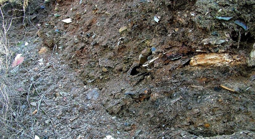 Megfertőzte a vizet az olajiszap, korlátoznák a fúrt kutak használatát