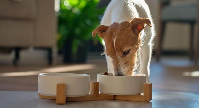Hatalmas meglepetést okozott a Nébih legutóbbi vizsgálata
