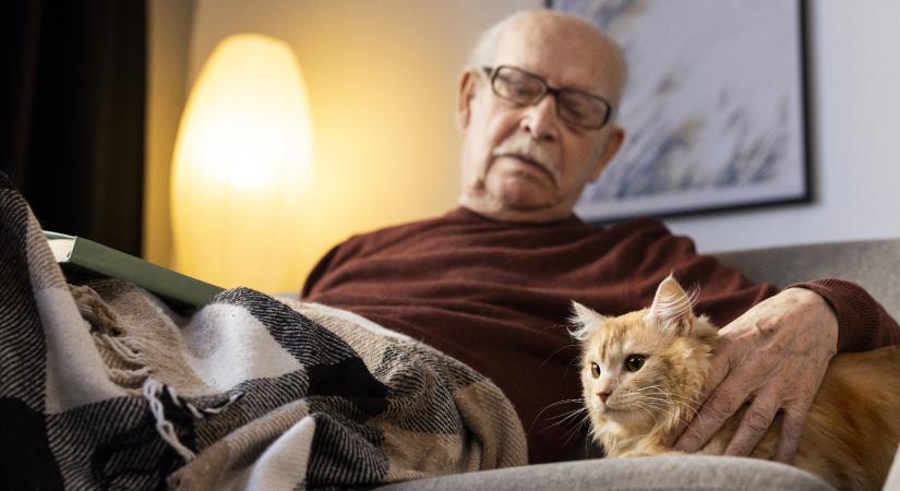 Közeleg a nyugdíjkatasztrófa, a 13. havi nyugdíj is olaj volt a tűzre