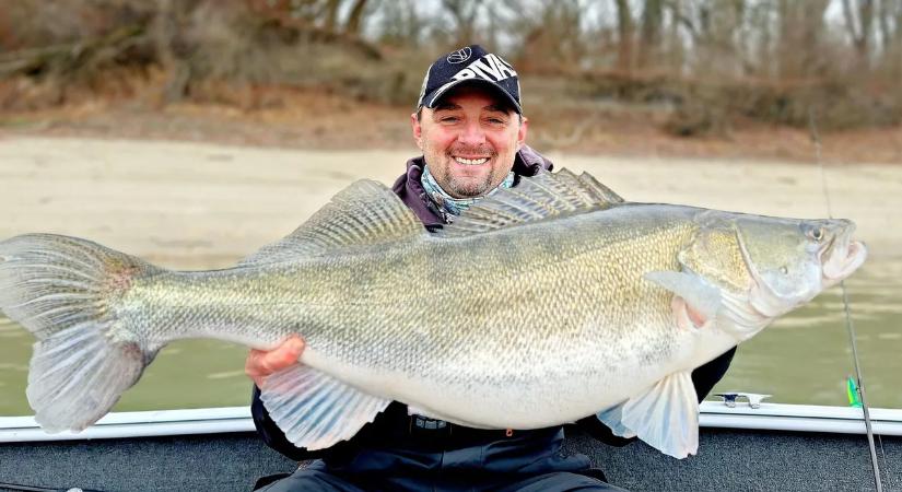 Brutális dunai süllőt fogott a világbajnok magyar pergetőhorgász