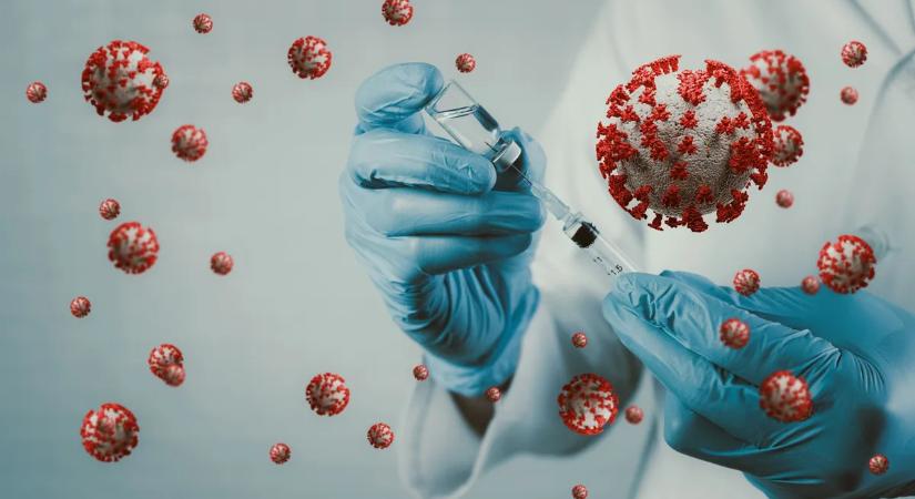 A HPV bárkit megfertőzhet: az emberek 80%-a találkozik vele élete során, mégis keveset beszélünk róla