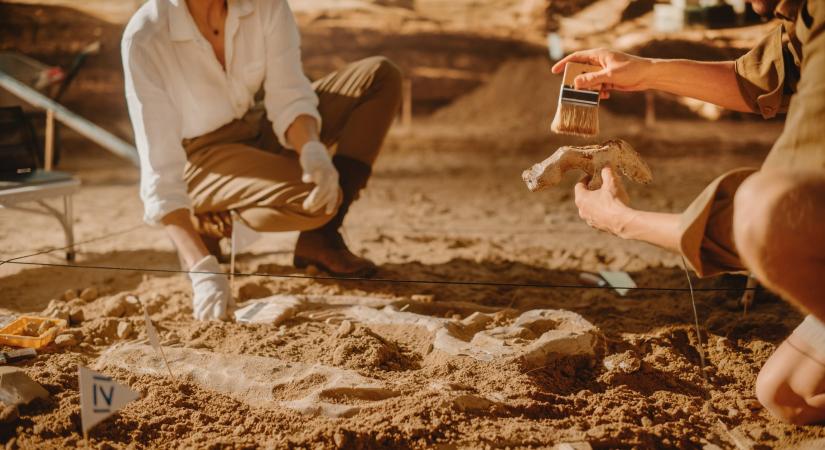 Szenzációs lelet – 85 millió éves szárazföldi krokodil maradványait találták a Bakonyban