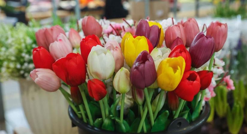 Virágláz nőnapkor: így választanak ajándékot a vásárlók