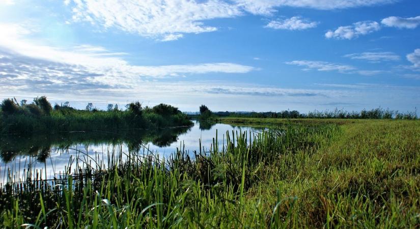 Csatorna, ami nem viszi a vizet: új magyar módszer az aszály ellen