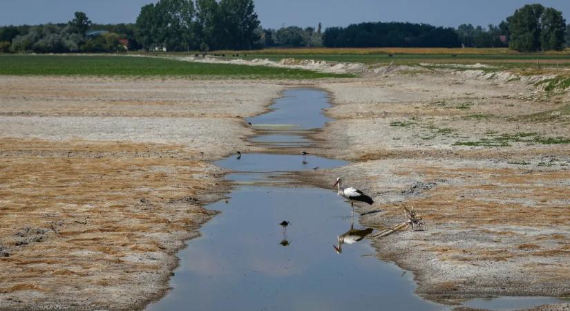 Mindegy, hogy a betonfalnak benzines, dízeles vagy elektromos autóval megyek neki
