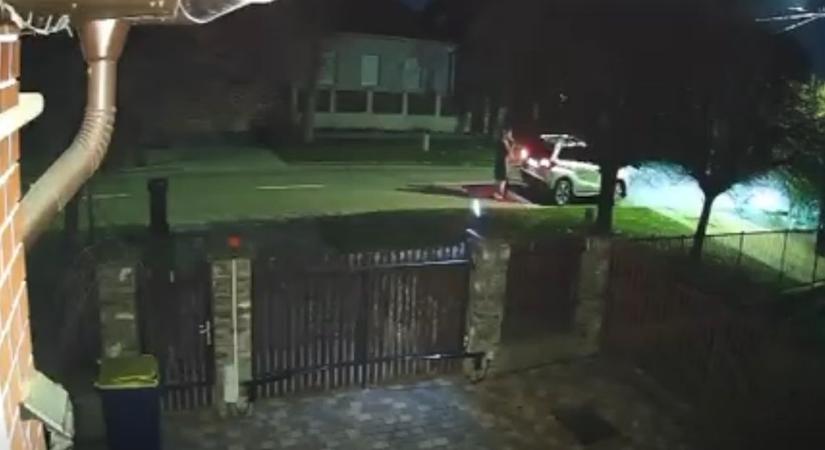 Érthetetlen jelenet: kapósak a kandúrok Mátészalkán, így lopták el Gömbi cicát! (videóval)