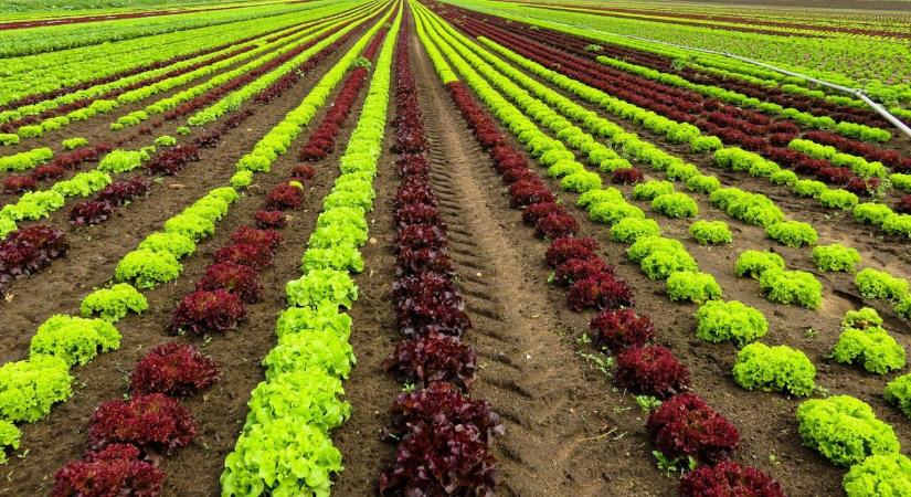 Kieshet az európai piacról, aki nem méri a környezeti lábnyomát: jön az egységes zöld-pontszám