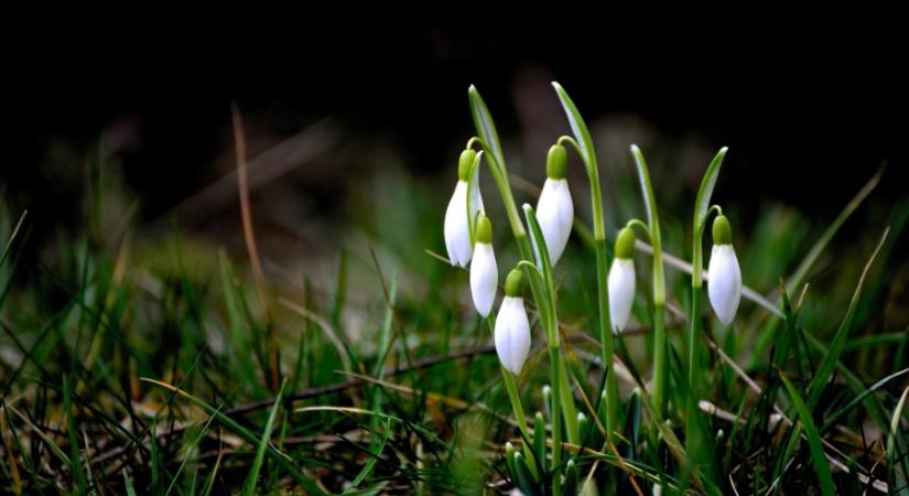 Éles váltás a hideg január után, február már az átlagnál enyhébb volt