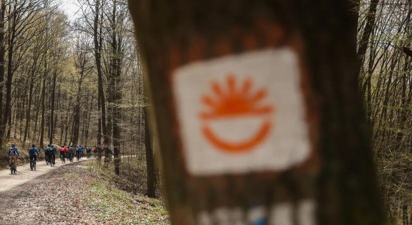 Magyar kutatók döbbenetes felfedezése: 85 millió éves ragadozó bukkant fel a Bakonyban