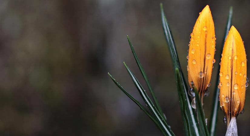 Időjárás: Zápor után fordulat, mutatjuk, mikor ér hozzád a 17 fokos meleg VIDEÓ
