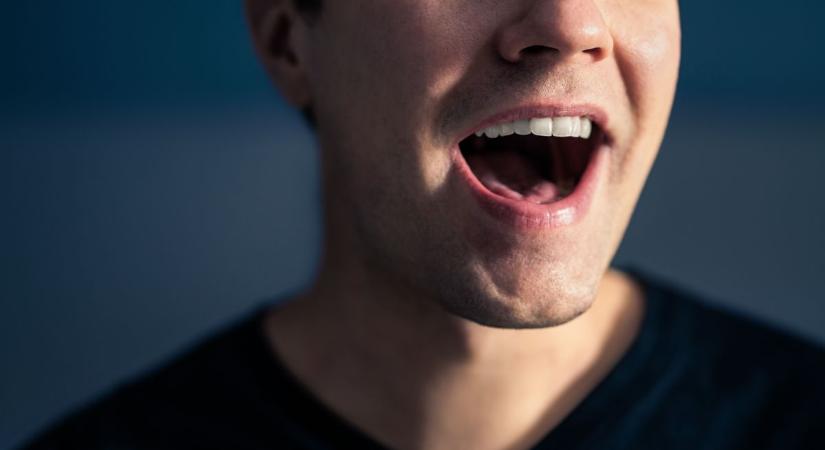 Ha érti ezeket a szavakat, biztosan Bács-Kiskunban nőtt fel!