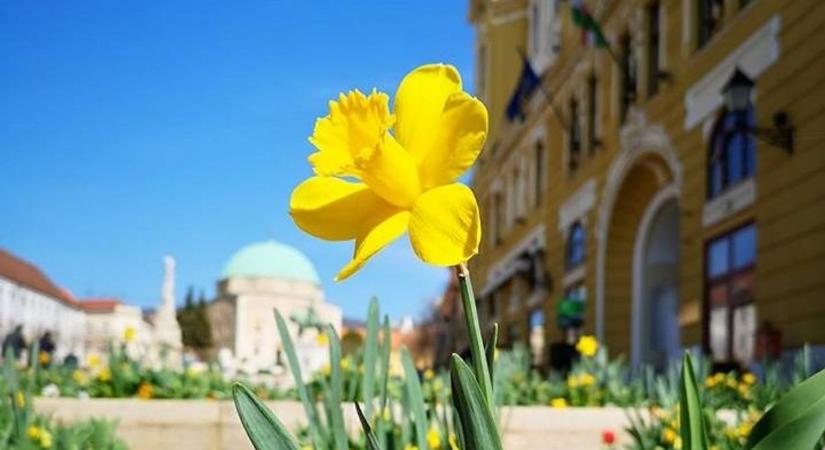 Napos, kora tavaszi idő várható a következő napokban