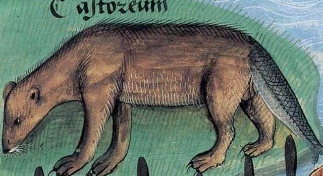 Öt bizarr középkori étel, amelyet gyakran fogyasztottak egykor