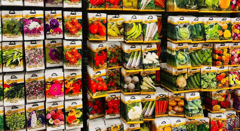 Drágul a veteményes? Így alakul idén a vetőmagok ára a boltokban