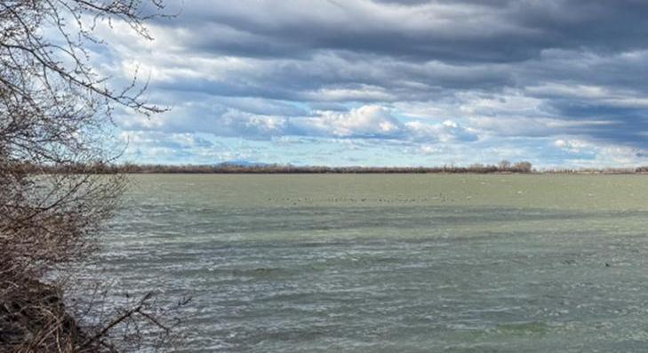 Ismét engedélyezett a harcsahorgászat a Tisza-tavon 