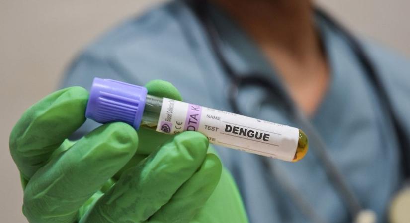 Vérzés, magas láz és elviselhetetlen fájdalom: ritka vírust találtak a szomszéd vármegyében