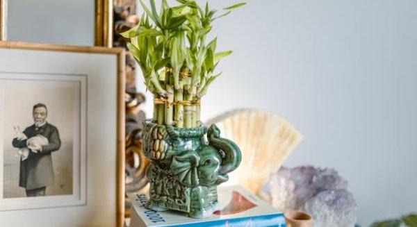 Engedd be az új energiákat az otthonodba a feng shuival