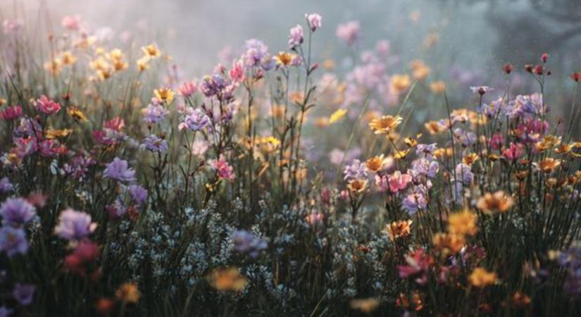 Mitől lesz könnyebb az életem?