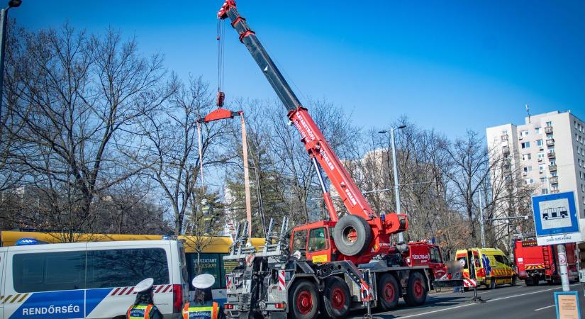 Sokkot kapott, kórházba szállították a villamosvezetőt a szörnyű tragédia után, kiderült, egy buszsofőrt gázolt el