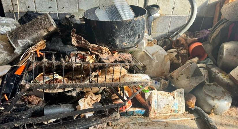 Brutális: légzőkészülékben mentették ki a sukorói családi házban tartott félszáz állatot (videó, galéria)