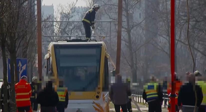 Sokkot kapott a villamosvezető Debrecenben, miután halálra gázolt egy biciklist