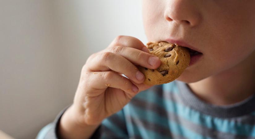 Egy életen át hathat az egészségtelen gyermekkori táplálkozás