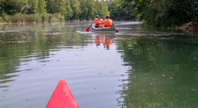 Tisztázatlan baleset a Mosoni-Dunán: kishajó ütközött négypárevezőssel Halászinál