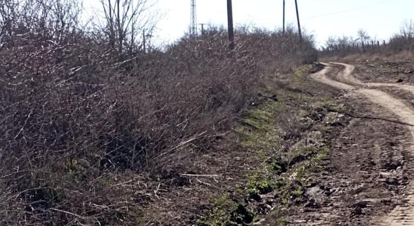 Jelentős forrásból újulhat meg az egyik külterületi út Ostoroson