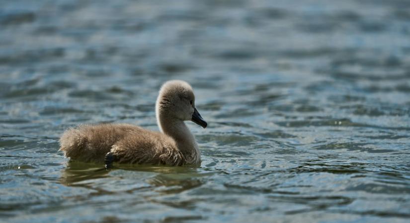 Időjárás 2026. március 5.: Kellemes tavaszi időben lesz részünk