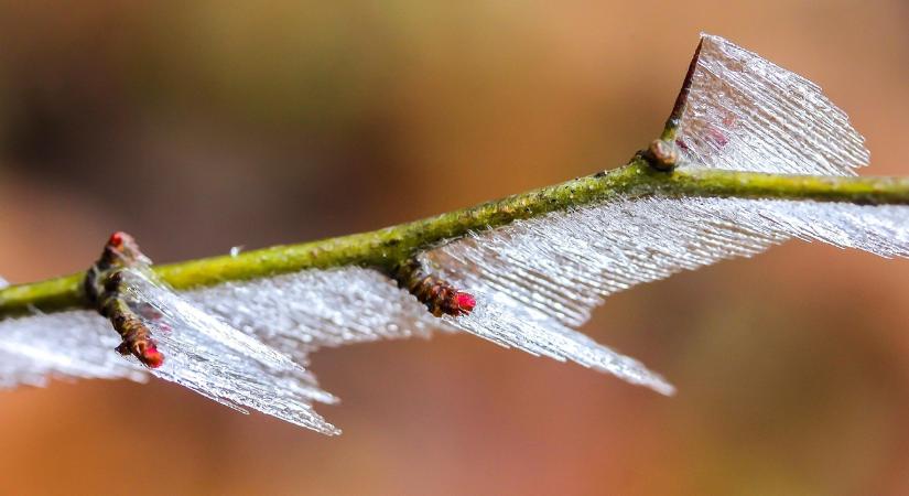 3 napos időjárás-előrejelzés: Fagyvédelemre felkészülni!