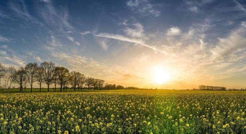 Továbbra is a kellemes arcát mutatja a március