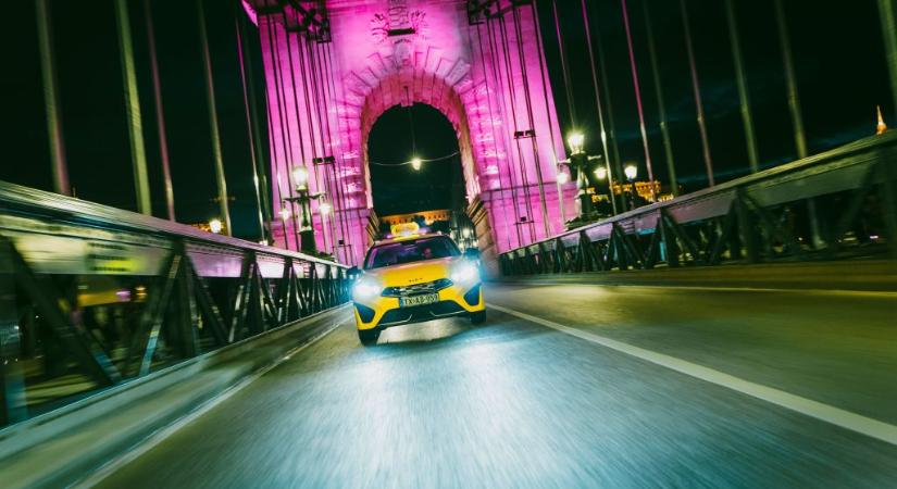 Minden harmadik fuvar éjszakai: népszerű a „Nők a Nőkért” kategória a féléves adatok alapján