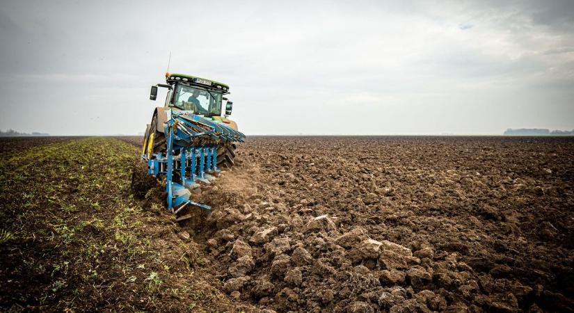 Nem állította meg őket a tél, újra támadnak a földeken – figyelmeztet a kamara