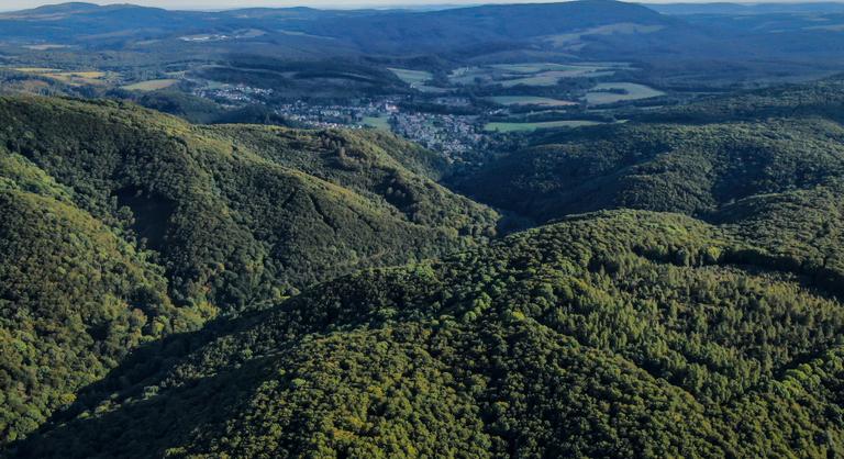 Dinoszauruszszerű ragadozót találtak a Bakonyban, megdőlt egy évtizedes elmélet