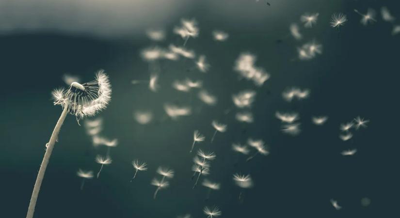 Időjárás: kiderült, mire számíthatunk a következő napokban