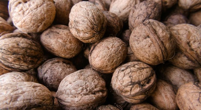 Eddig be nem azonosított kórokozók fenyegetnek, teljesen eltűnhetnek a diófák