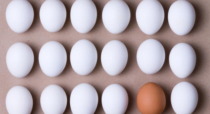 Hiába közeleg a húsvét, ilyen tojást nehogy vegyél!