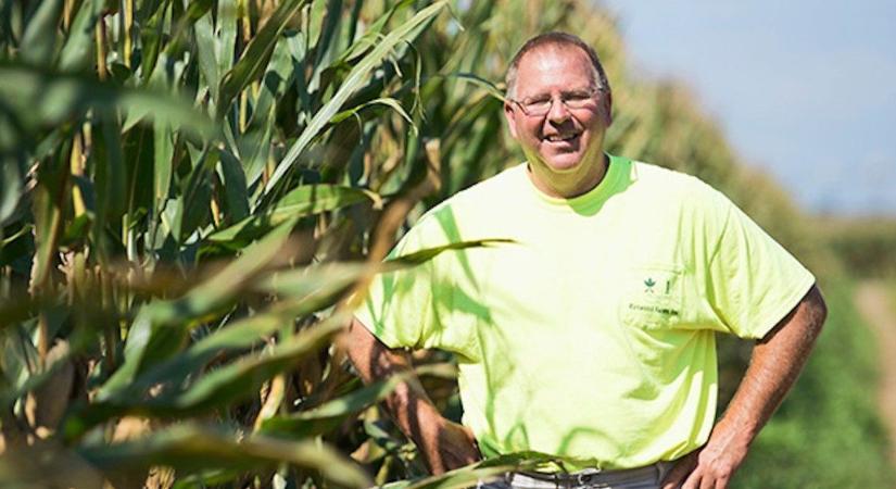 27 tonna kukorica hektáronként – rekord vagy reális cél? VIDEO