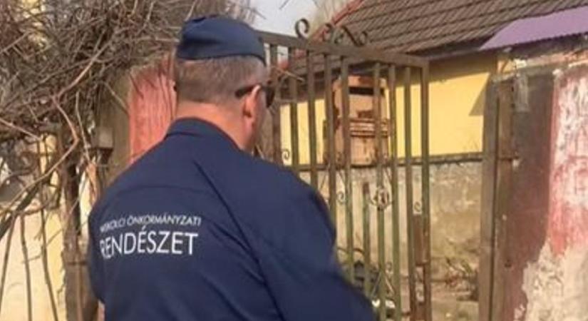 Gazdik, figyelem: Miskolcon ellenőrzik a rendet és az oltási könyvet