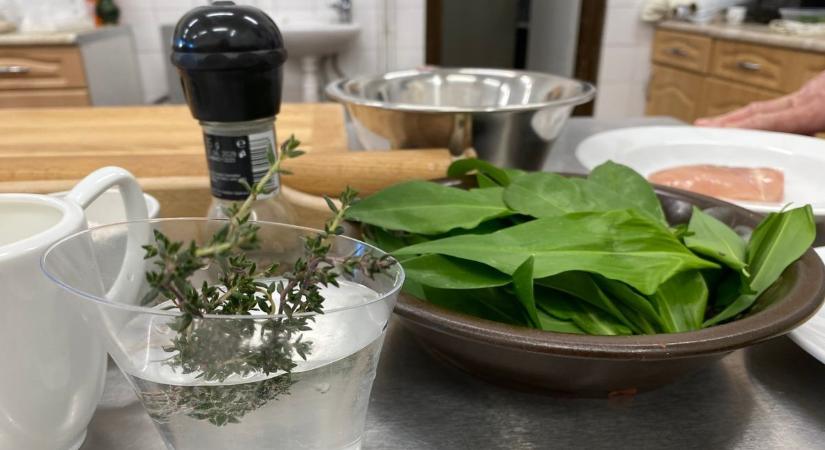 Miért ér aranyat a Bakonyban szedett medvehagyma? Konyhai praktikákat mutatunk ( receptek)