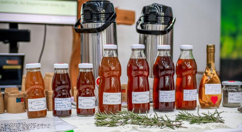 Amit ma megeszel, holnap visszaköszön – Tévhit a szénhidrátmentes diéta? (galéria)