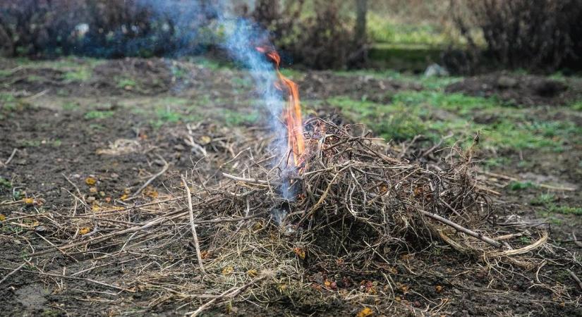 Gigabírságot kockáztat, ha ezt teszi a zöldhulladékkal, nincs mentség lebukásnál