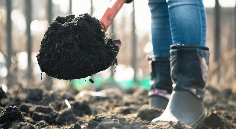 A talaj mint élő rendszer