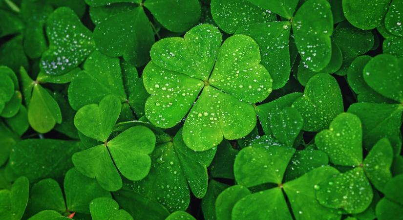 Ezek lesznek a legszerencsésebb csillagjegyek 2026 márciusában