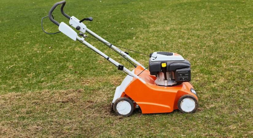 Kertész figyelmeztet! Ne siess, eddig a dátumig tilos füvet nyírni