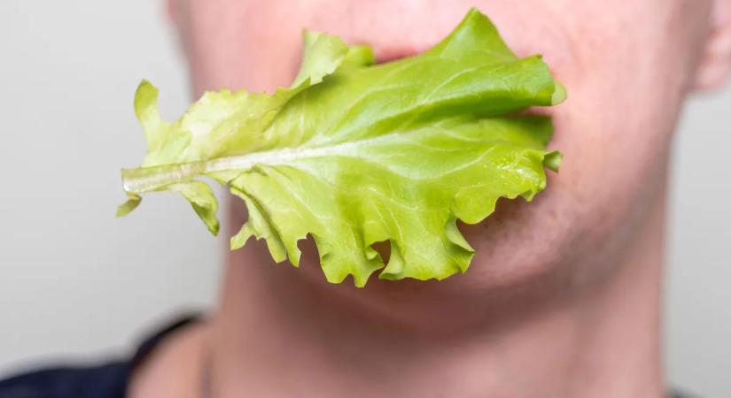 A saláta súlyosbítja az irritábilis bél szindróma tüneteit? Meglepő a válasz