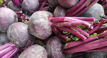 Céklaár-zuhanás Ukrajnában és Lengyelországban